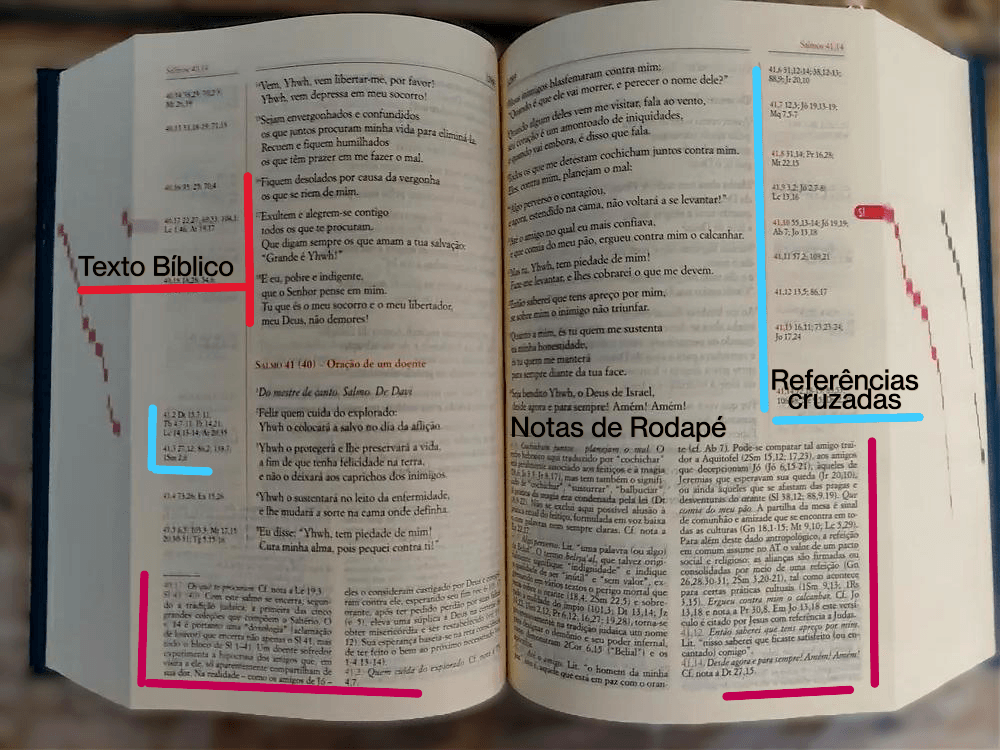 Bíblia Palavra Viva detalhe das notas de rodapé com foto de comentários Mercado Livre
