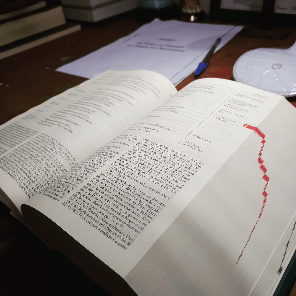 Bíblia Palavra Viva Paulus.