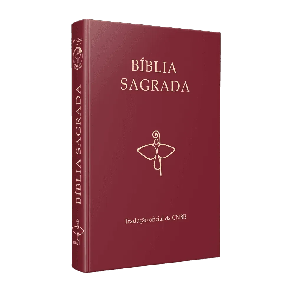 Bíblia Sagrada Tradução Oficial da CNBB 6ª Edição capa dura vinho, texto padrão utilizado na liturgia e missas no Brasil.