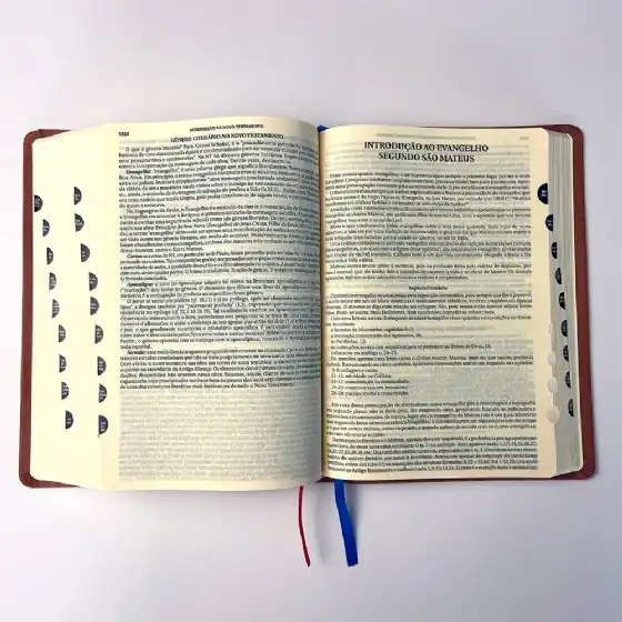 Imagem de uma Bíblia aberta na página de Dei Verbum, documento importante do Concílio Vaticano II sobre a revelação divina e a importância da Palavra de Deus na Igreja Católica.