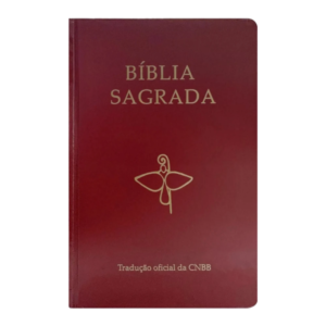 Bíblia Sagrada CNBB Tradução Oficial - 6ª Edição