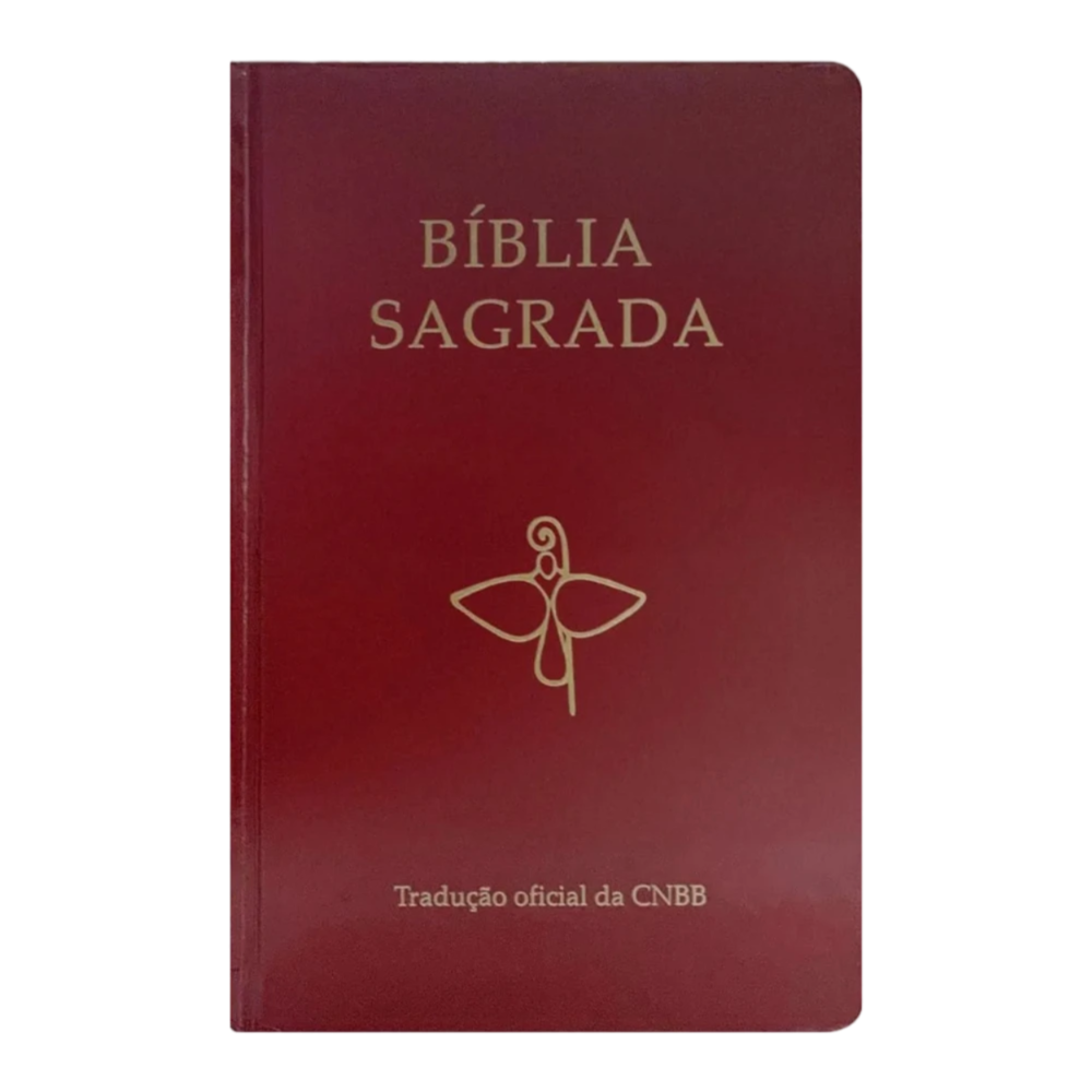 Bíblia Sagrada CNBB Tradução Oficial - 6ª Edição