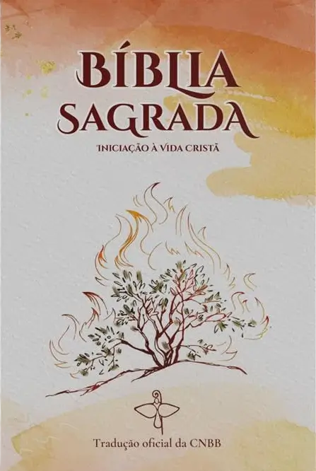 Bíblia Sagrada iniciação à vida cristã CNBB 6ª Edição Novo Design
